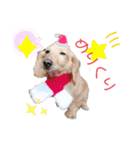 すずたま（個別スタンプ：13）