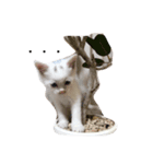 まろろん。（個別スタンプ：3）