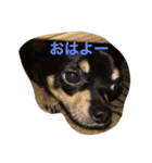 まろろん。（個別スタンプ：5）
