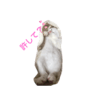 まろろん。（個別スタンプ：7）