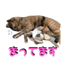 みーともん2（個別スタンプ：16）