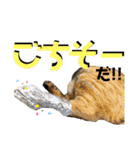 みーともん2（個別スタンプ：20）