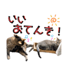 みーともん2（個別スタンプ：24）