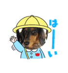 かいらにすたんぷ。（個別スタンプ：5）
