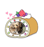 かいらにすたんぷ。（個別スタンプ：6）