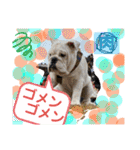 ブルドッグ のおにく君（個別スタンプ：6）