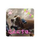 わくわく！《バセ校スタンプ》（個別スタンプ：2）