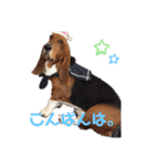 わくわく！《バセ校スタンプ》（個別スタンプ：3）