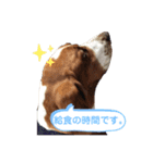 わくわく！《バセ校スタンプ》（個別スタンプ：8）