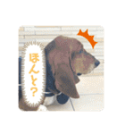 わくわく！《バセ校スタンプ》（個別スタンプ：9）