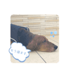 わくわく！《バセ校スタンプ》（個別スタンプ：14）