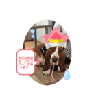 わくわく！《バセ校スタンプ》（個別スタンプ：21）
