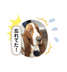 わくわく！《バセ校スタンプ》（個別スタンプ：24）