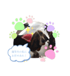 わくわく！《バセ校スタンプ》（個別スタンプ：25）