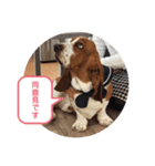 わくわく！《バセ校スタンプ》（個別スタンプ：27）