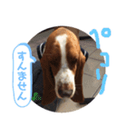 わくわく！《バセ校スタンプ》（個別スタンプ：30）