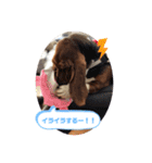 わくわく！《バセ校スタンプ》（個別スタンプ：35）