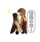 わくわく！《バセ校スタンプ》（個別スタンプ：39）
