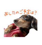 conaigo（個別スタンプ：2）