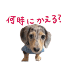 conaigo（個別スタンプ：3）
