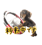conaigo（個別スタンプ：4）