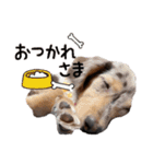 conaigo（個別スタンプ：18）