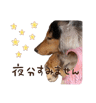 conaigo（個別スタンプ：21）