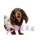 conaigo（個別スタンプ：25）