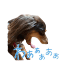 conaigo（個別スタンプ：26）