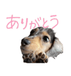 conaigo（個別スタンプ：28）