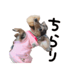 conaigo（個別スタンプ：29）