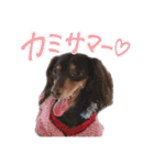 conaigo（個別スタンプ：31）