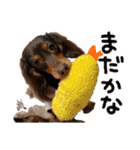 conaigo（個別スタンプ：38）