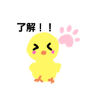 ひよこのこ☆スタンプ（個別スタンプ：12）