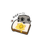 Pekingese Sticker 01（個別スタンプ：1）