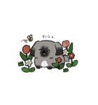 Pekingese Sticker 01（個別スタンプ：18）