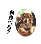ビーグル犬 デイル4（個別スタンプ：1）
