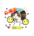 モグモグぷくぷく（個別スタンプ：2）