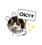 モグモグぷくぷく（個別スタンプ：3）