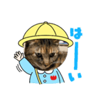 モグモグぷくぷく（個別スタンプ：4）