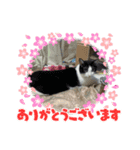 モグモグぷくぷく（個別スタンプ：6）
