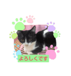 モグモグぷくぷく（個別スタンプ：8）