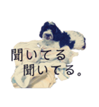 のえるは大阪生まれ大阪育ちやで（個別スタンプ：8）