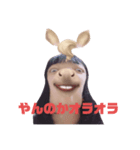 馬々しいらんちん（個別スタンプ：8）