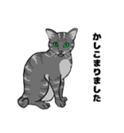 MIYOのネコさん(うちのチビちゃん編)（個別スタンプ：6）