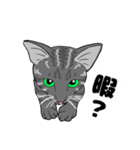MIYOのネコさん(うちのチビちゃん編)（個別スタンプ：7）