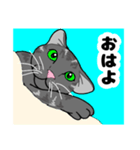 MIYOのネコさん(うちのチビちゃん編)（個別スタンプ：9）