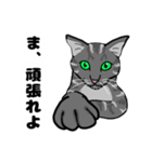MIYOのネコさん(うちのチビちゃん編)（個別スタンプ：15）