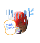 ブラックパール戦国隊（個別スタンプ：16）