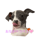 小さい心太朗❤️（個別スタンプ：8）